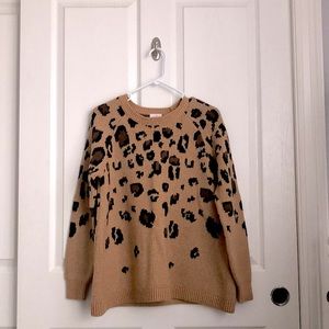Cheetah Print Sweater